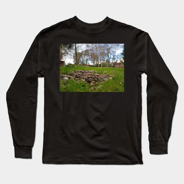 Pebbles and pine close up in the garden Long Sleeve T-Shirt by fantastic-designs